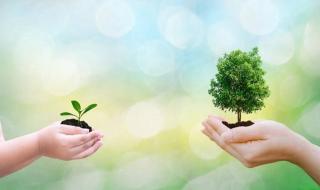 习惯一个人的生活