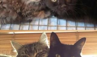 小时候vs长大后