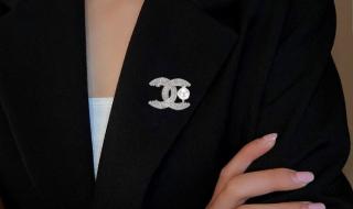 施华洛世奇胸针 施华洛世奇胸针