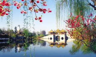 阎肃歌词歌曲精选 阎肃歌词歌曲精选