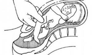 轻置玉臀是什么意思