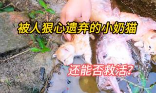 善良的男人结局 善良的男人结局