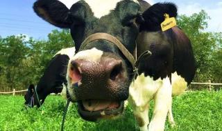 大连有什么好玩的地方