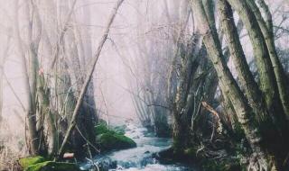 挪威的森林精彩片段