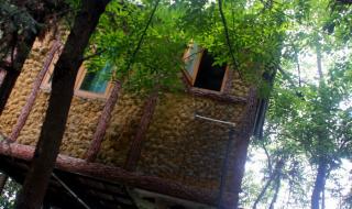 象山森林公园 象山森林公园