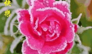 霜降是2023的几月几日