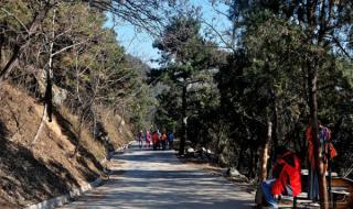 香山停车短信通知