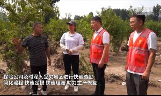 新华保险河北分公司 新华保险河北分公司