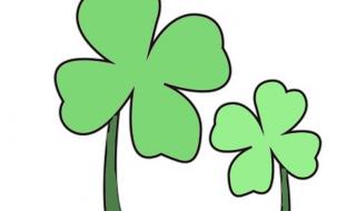 怎么画四叶草最好看