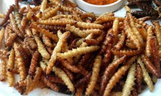 云南十大最毒虫子