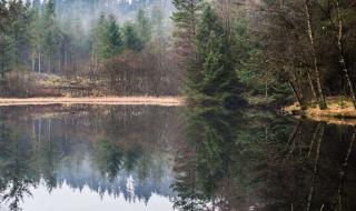 苏格兰是个国家吗