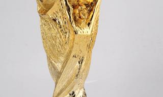 世界杯奖杯有几个