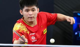 世乒赛男单决赛名单