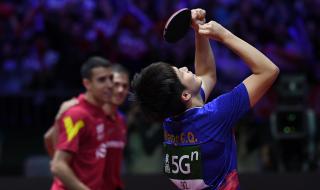 乒乓球世锦赛男双